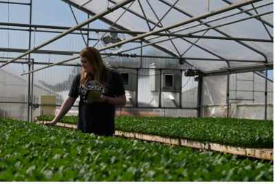 propane powered greenhouse